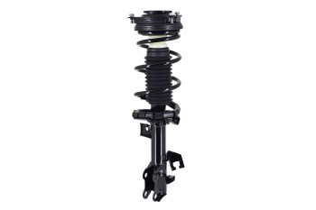Suspension Strut and Coil Spring Assembly