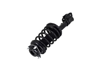 Suspension Strut and Coil Spring Assembly