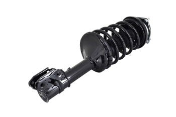 Suspension Strut and Coil Spring Assembly