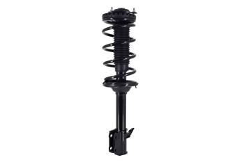 Suspension Strut and Coil Spring Assembly