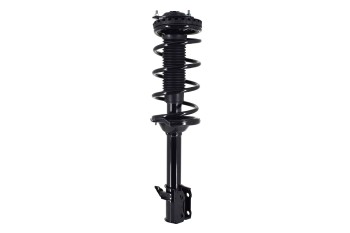 Suspension Strut and Coil Spring Assembly