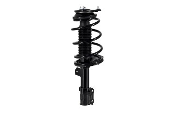 Suspension Strut and Coil Spring Assembly