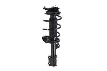 Suspension Strut and Coil Spring Assembly