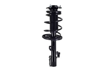Suspension Strut and Coil Spring Assembly