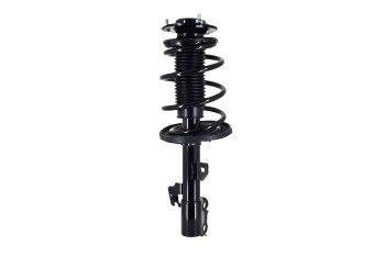 Suspension Strut and Coil Spring Assembly