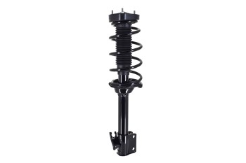 Suspension Strut and Coil Spring Assembly
