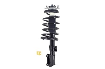 Suspension Strut and Coil Spring Assembly