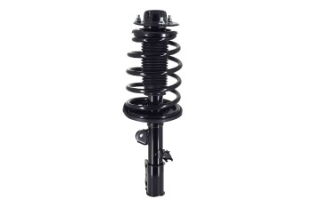 Suspension Strut and Coil Spring Assembly