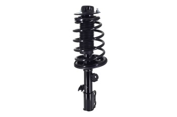 Suspension Strut and Coil Spring Assembly