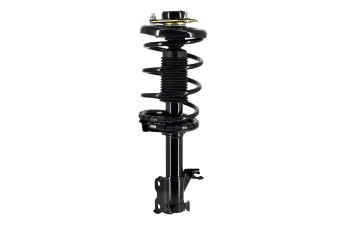 Suspension Strut and Coil Spring Assembly