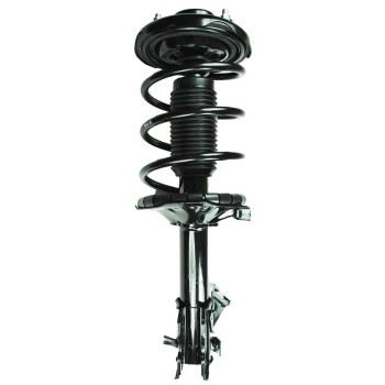 Suspension Strut and Coil Spring Assembly