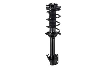 Suspension Strut and Coil Spring Assembly