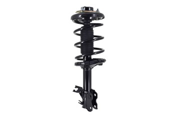 Suspension Strut and Coil Spring Assembly