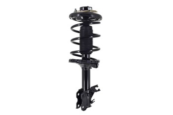 Suspension Strut and Coil Spring Assembly
