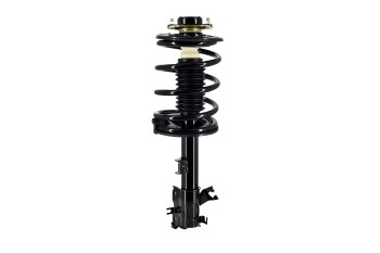 Suspension Strut and Coil Spring Assembly