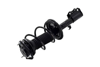 Suspension Strut and Coil Spring Assembly