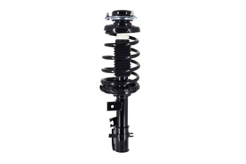 Suspension Strut and Coil Spring Assembly