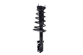 Suspension Strut and Coil Spring Assembly