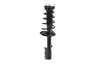 Suspension Strut and Coil Spring Assembly