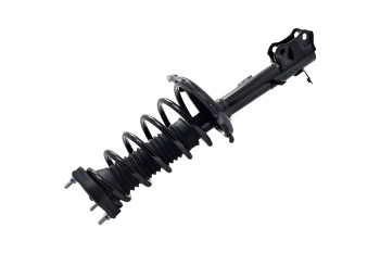 Suspension Strut and Coil Spring Assembly