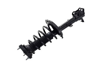 Suspension Strut and Coil Spring Assembly