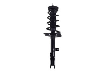 Suspension Strut and Coil Spring Assembly