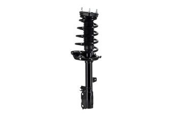 Suspension Strut and Coil Spring Assembly