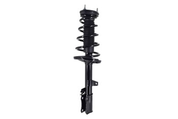 Suspension Strut and Coil Spring Assembly