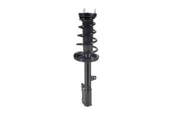 Suspension Strut and Coil Spring Assembly
