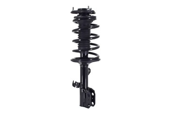 Suspension Strut and Coil Spring Assembly