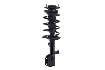 Suspension Strut and Coil Spring Assembly