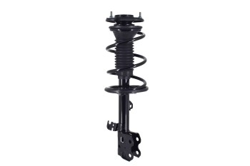 Suspension Strut and Coil Spring Assembly