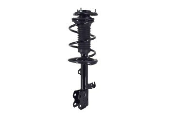 Suspension Strut and Coil Spring Assembly