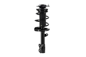 Suspension Strut and Coil Spring Assembly