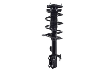 Suspension Strut and Coil Spring Assembly