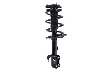 Suspension Strut and Coil Spring Assembly