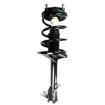 Suspension Strut and Coil Spring Assembly