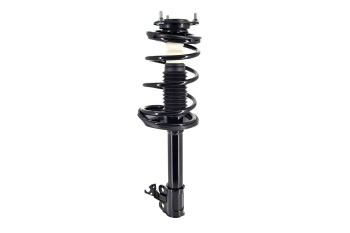 Suspension Strut and Coil Spring Assembly