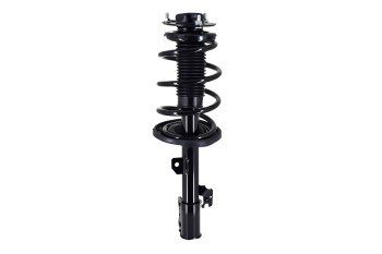 Suspension Strut and Coil Spring Assembly