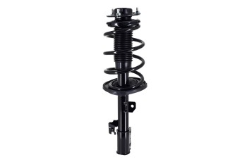 Suspension Strut and Coil Spring Assembly