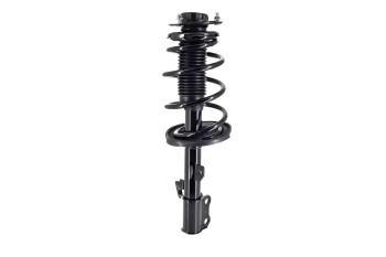 Suspension Strut and Coil Spring Assembly