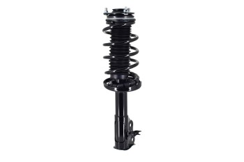 Suspension Strut and Coil Spring Assembly