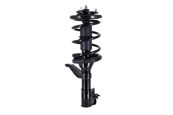 Suspension Strut and Coil Spring Assembly