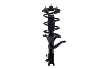 Suspension Strut and Coil Spring Assembly