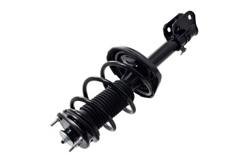 Suspension Strut and Coil Spring Assembly