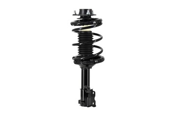 Suspension Strut and Coil Spring Assembly