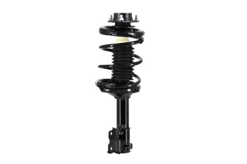 Suspension Strut and Coil Spring Assembly