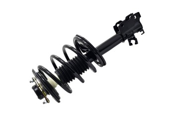 Suspension Strut and Coil Spring Assembly