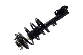 Suspension Strut and Coil Spring Assembly