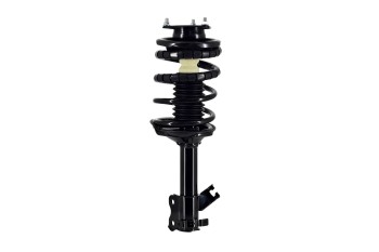 Suspension Strut and Coil Spring Assembly
